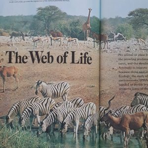 كتاب Our Magnificent Wildlife – How To Enjoy and Preserve اثر Raymond Dasmann انتشارات Readers Digest