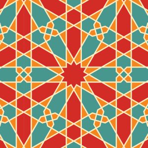 پادری ظرف خاک گربه ژوانیت کد 9