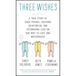 کتاب Three Wishes اثر Pamela Ferdinand and Carey Goldberg انتشارات تازه ها
