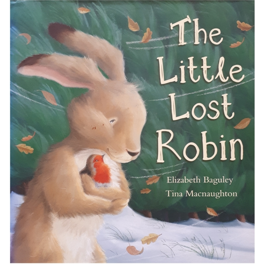 كتاب The Little Lost Robin اثر Elizabeth Baguley انتشارات Little Tiger