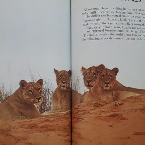 كتاب Wild Animals اثر جمعي از نويسندگان انتشارات Treasure Press
