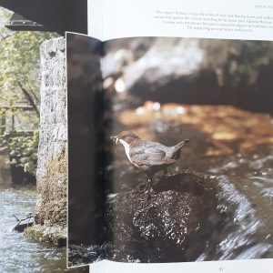 كتاب Secret Nature of Britain اثر Andrew Cooper انتشارات BBC
