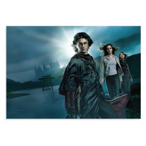 پوستر  طرح فیلم هری پاتر Harry Potter مدل NV0398