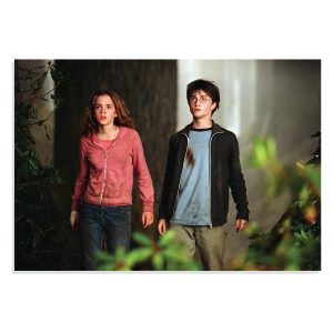 پوستر  طرح فیلم هری پاتر Harry Potter مدل NV0388