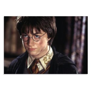 پوستر  طرح فیلم هری پاتر Harry Potter مدل NV0415