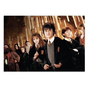 پوستر طرح فیلم هری پاتر Harry Potter مدل NV0408