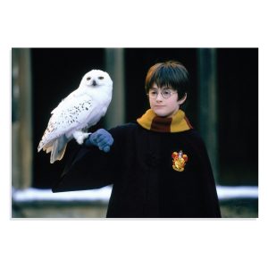 پوستر  طرح فیلم هری پاتر Harry Potter مدل NV0412