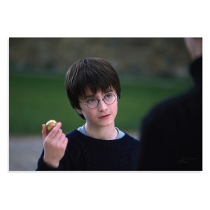 پوستر طرح فیلم هری پاتر Harry Potter مدل NV0414