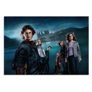 پوستر  طرح فیلم هری پاتر Harry Potter مدل NV0397
