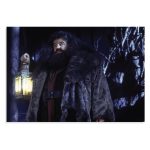 پوستر طرح فیلم هری پاتر Harry Potter مدل NV0384