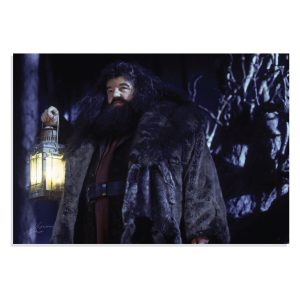 پوستر طرح فیلم هری پاتر Harry Potter مدل NV0384