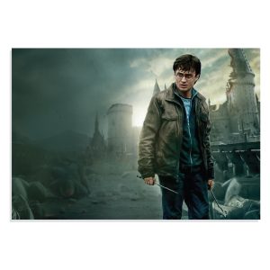 پوستر  طرح فیلم هری پاتر Harry Potter مدل NV0406