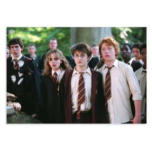 پوستر  طرح فیلم هری پاتر Harry Potter مدل NV0386